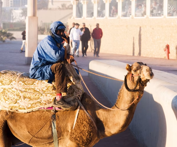 photo-1561402314-db4e670beb17