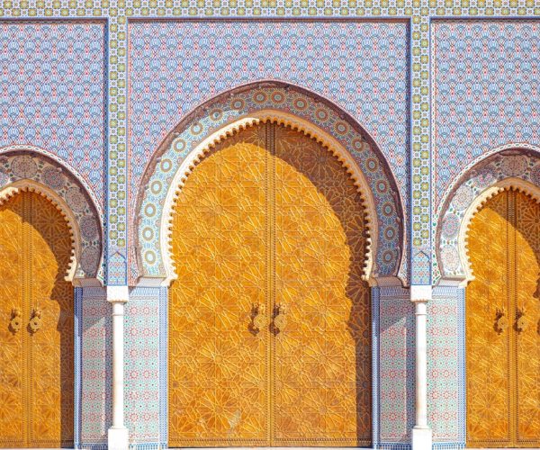 premium_photo-1705004597770-40e4db5df8a6